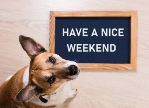 images(30).thumb.jpeg.8d96dc7ab8542f1898af5866ae2296fc.jpeg
