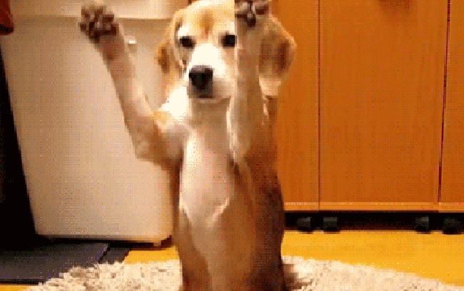 oie_14175751vZSQRLEn.thumb.gif.c6877a8a0c772f631fea71b2a6f2cc2f.gif