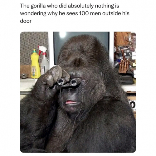 1746970740952.jpg