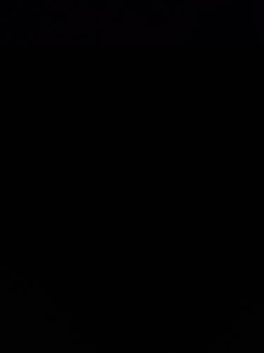 17837092453335624536146757931722.jpg
