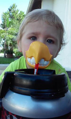 20150709_165045.thumb.jpg.9230ea49b93190865653581425aeb2aa.jpg