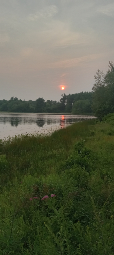 20250805_191341.thumb.jpg.f812c74a493c2784033d18b8100e371d.jpg