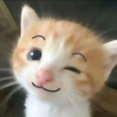 Huhhuu