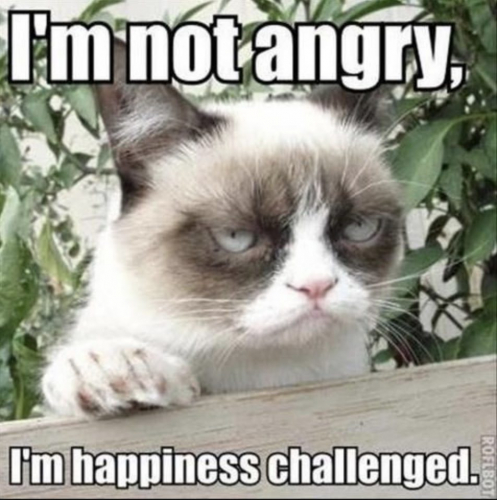 Grumpy-Cat-Meme-1.jpg
