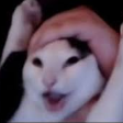 hyxraz