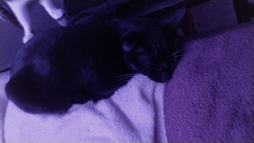 IMG-20260709-WA0080.jpeg