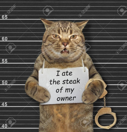 Image.thumb.jpg.6594aff26268d1f5ab9f8b9aa0de48cd.jpg