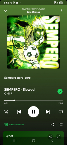Screenshot_20260718_175215_Spotify.jpg