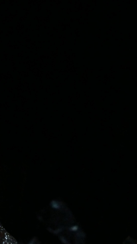 Snapchat-1273096367.jpg
