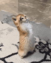 cat-high-five-gif.gif.db4c91c441e32a2a32abe520d1f25e3d.gif