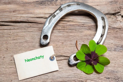 depositphotos_59807819-stock-photo-horseshoe-and-four-leaf-clover.jpg