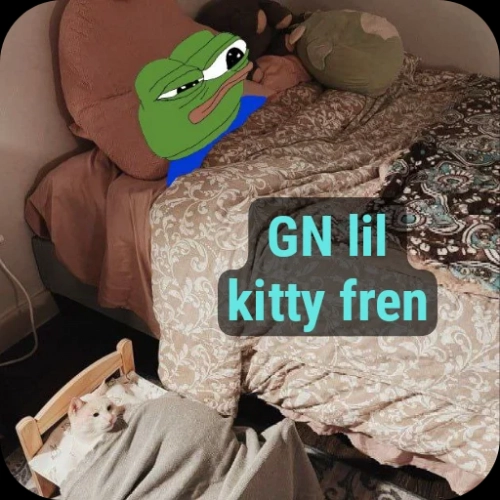 gn kitty fren.webp