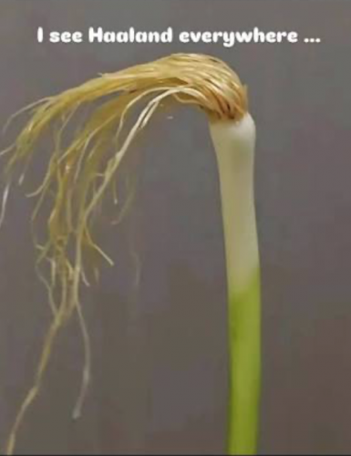 image.thumb.png.a3039ad361cc2ec6c1cd0c1fbe679b7f.png