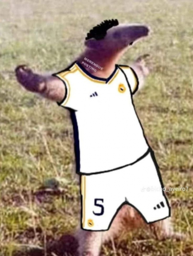 image.thumb.png.b743fb91cf884d846839859d588a445f.png