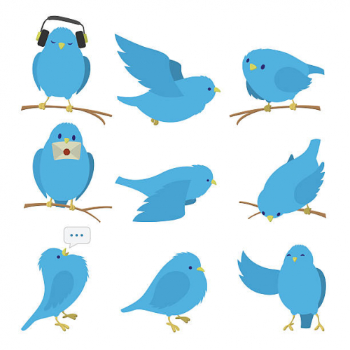 istockphoto-497275470-612x612.jpg